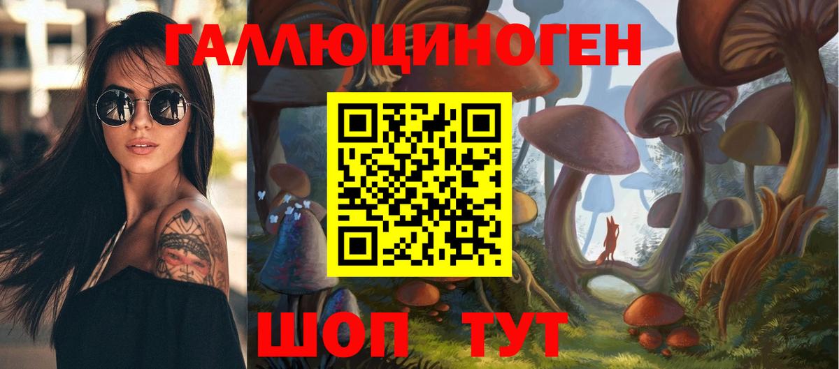 Галлюциногенные грибы Magic Shrooms Карачаевск