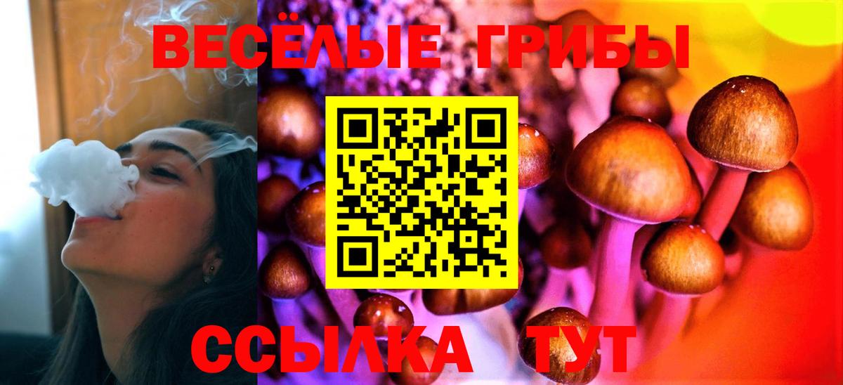Галлюциногенные грибы мухоморы  Вход с VPN  Карачаевск  Галлюциногенные грибы прущие грибы 