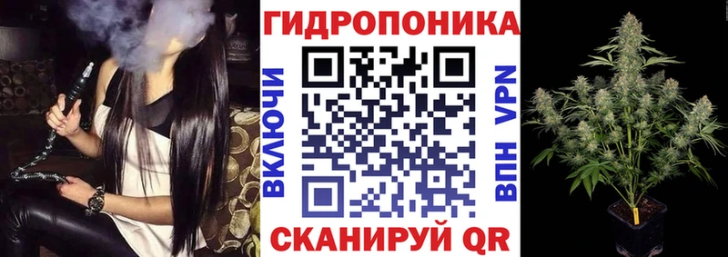 Конопля OG Kush дарнет шоп Карачаевск